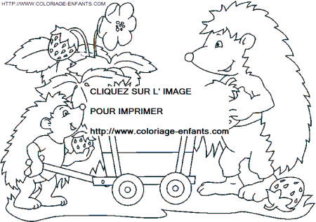 Porcupines coloring