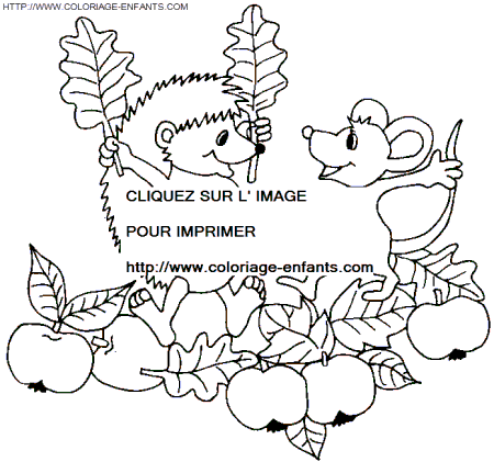 Porcupines coloring