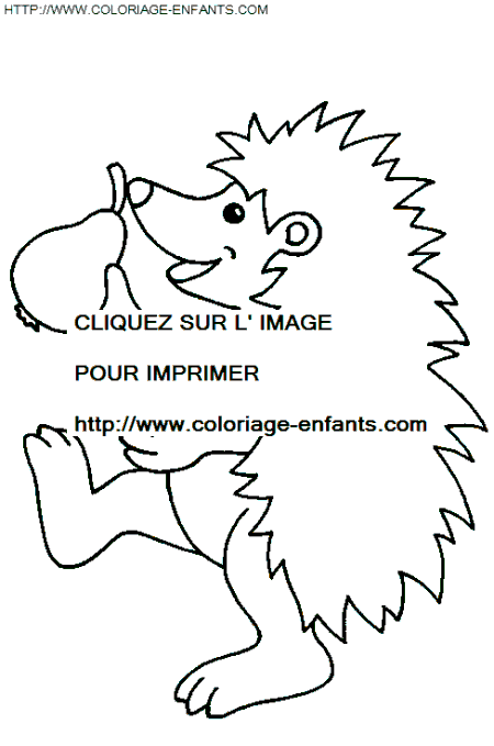 Porcupines coloring