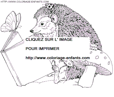 Porcupines coloring