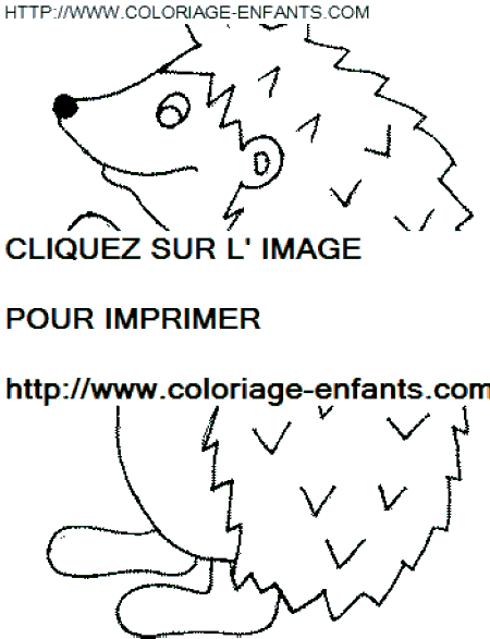 Porcupines coloring