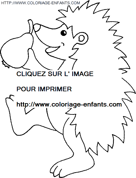 Porcupines coloring