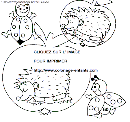 Porcupines coloring