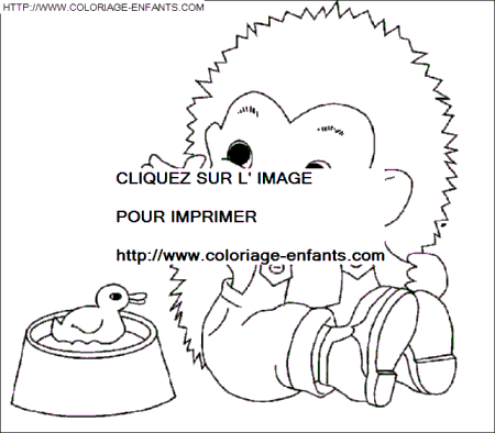 Porcupines coloring