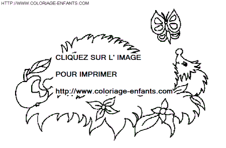 Porcupines coloring