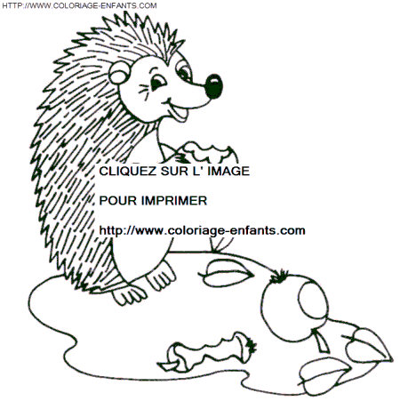 Porcupines coloring