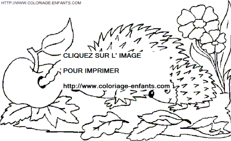 Porcupines coloring