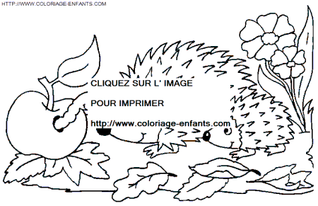 Porcupines coloring