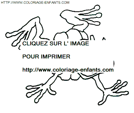 Drole De Petites Betes coloring