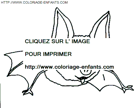 Drole De Petites Betes coloring