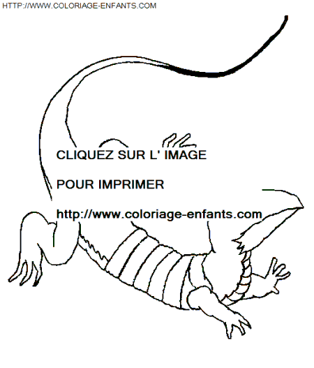 Drole De Petites Betes coloring