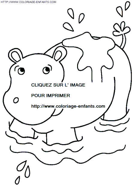 Hippopotamus coloring