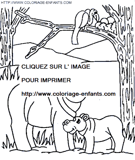 Hippopotamus coloring - Hippopotamus coloring pages to color