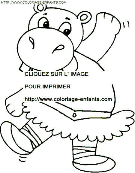 Hippopotamus coloring