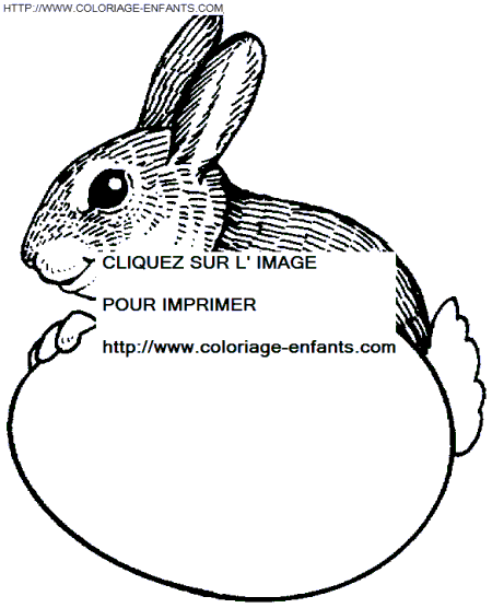 Rabbits coloring