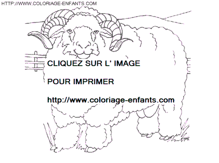 Sheep coloring - Sheep coloring pages to color - Sheep coloring book
