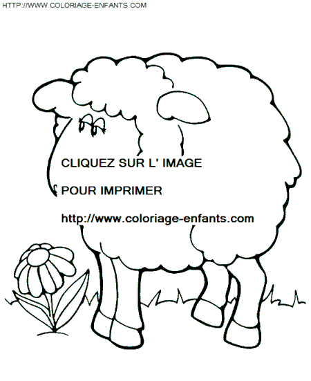 Sheep coloring - Sheep coloring pages to color - Sheep coloring book