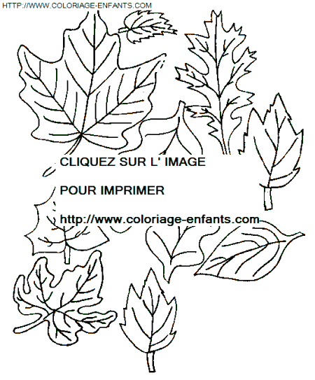 Leaves coloring