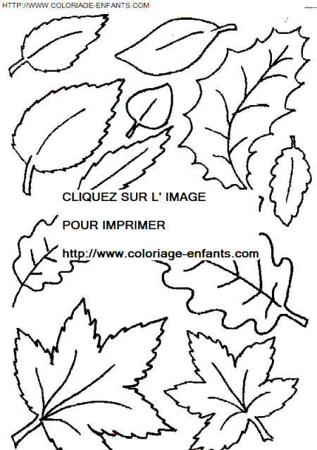 Leaves coloring