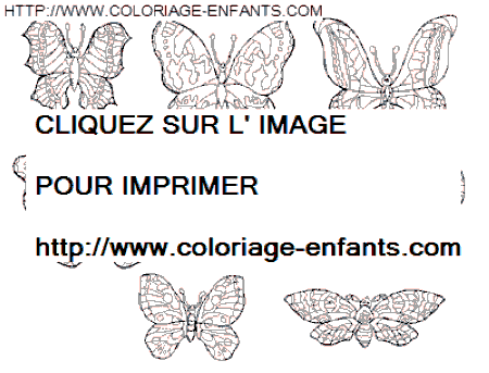 Butterflies coloring