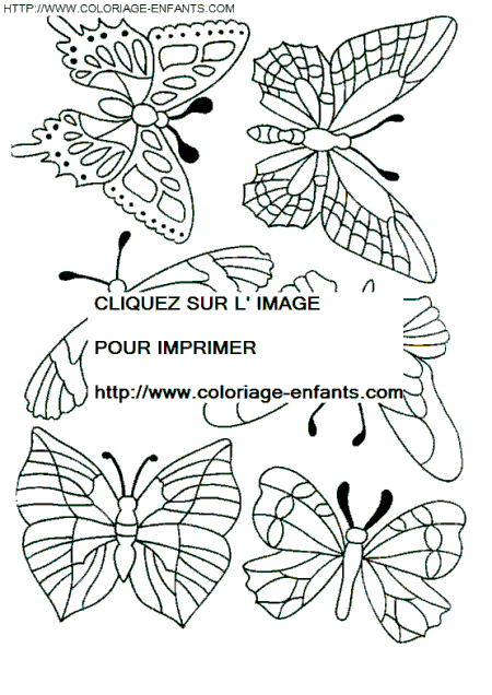 Butterflies coloring