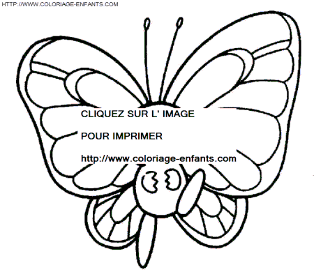 Butterflies coloring