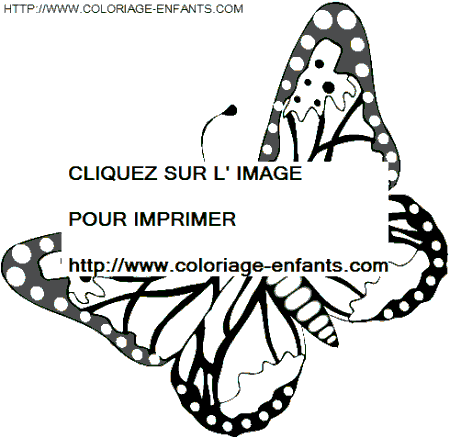 Butterflies coloring