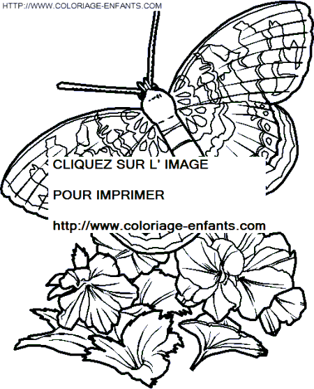 Butterflies coloring