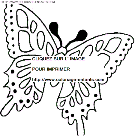 Butterflies coloring