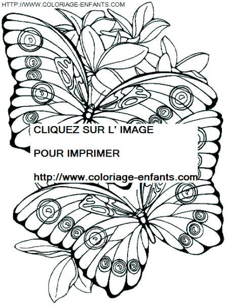 Butterflies coloring