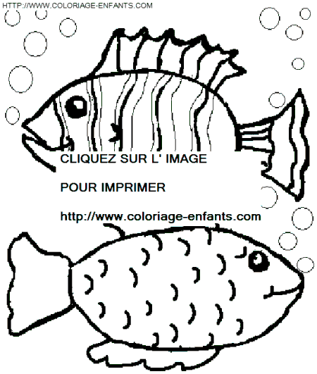 Fish coloring