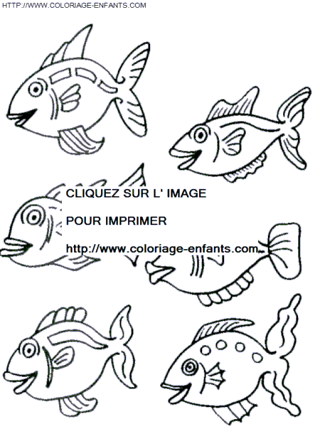 Fish coloring