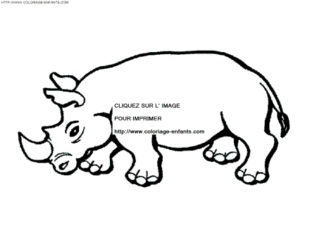 Rhinoceros coloring