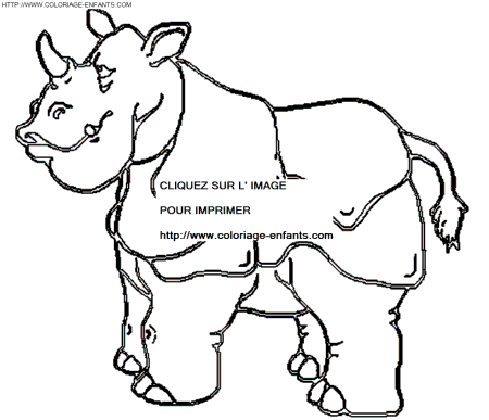 Rhinoceros coloring