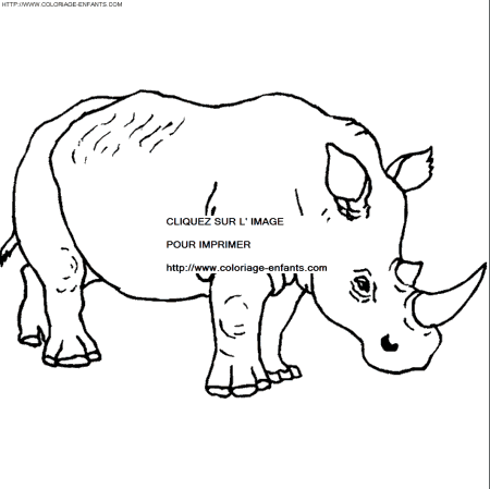 Rhinoceros coloring