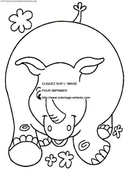 Rhinoceros coloring