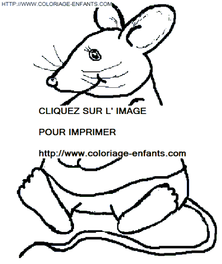 Mouse coloring
