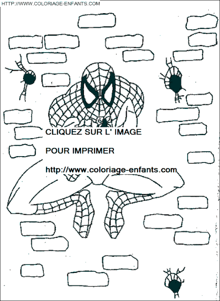 Spiderman coloring