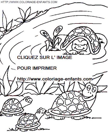 Turtles coloring