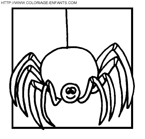 Spiders coloring