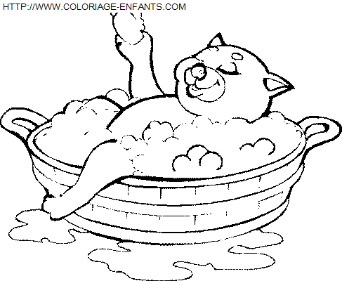 Bath coloring