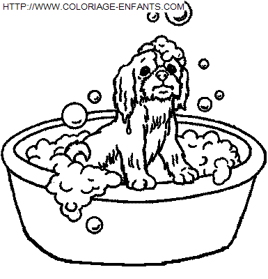 Bath coloring