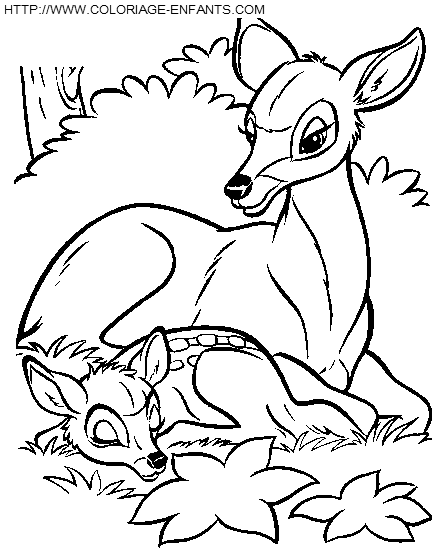 Bambi2 coloring