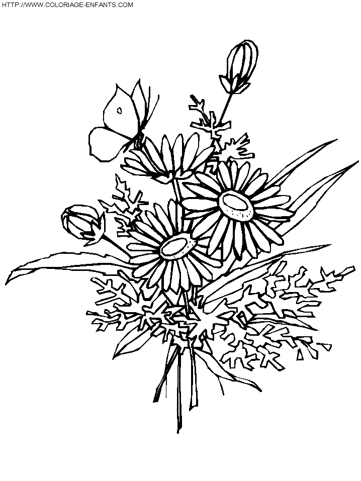 Flower coloring