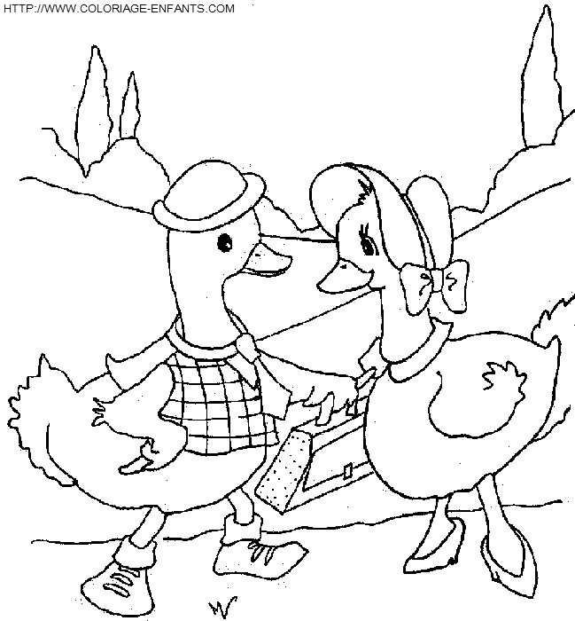 Ducks coloring