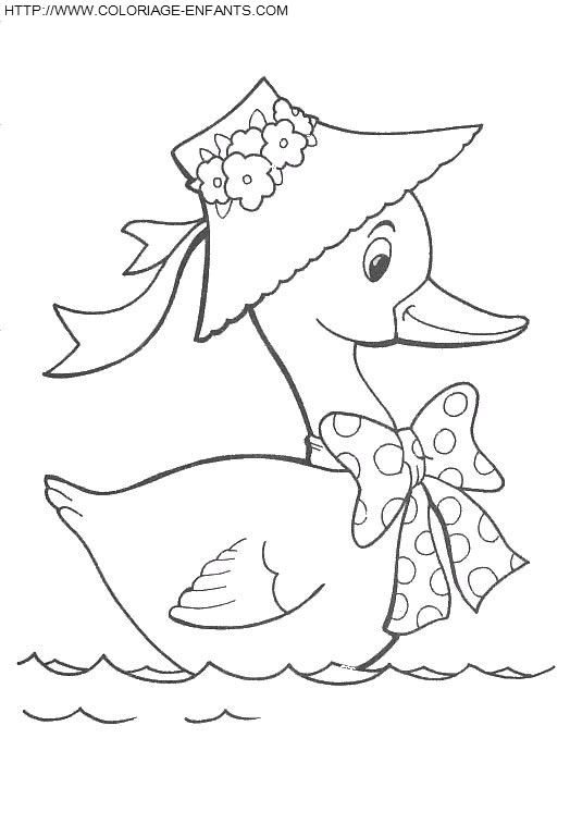 Ducks coloring