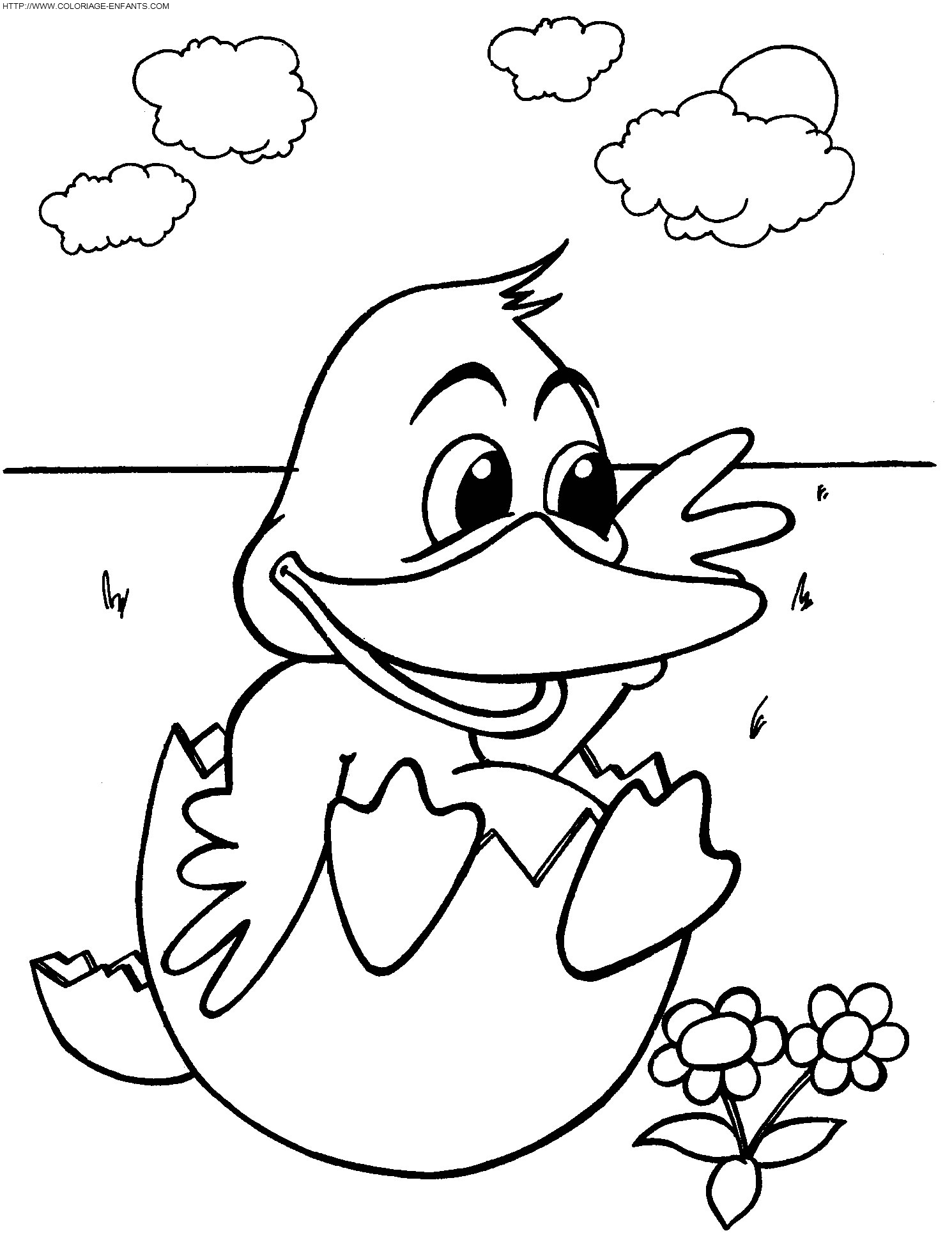 Ducks coloring