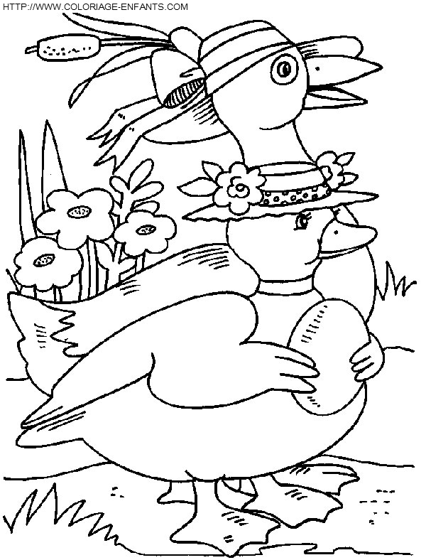 Ducks coloring