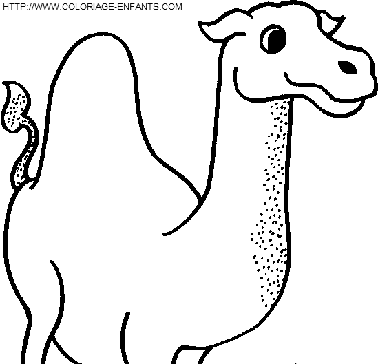 Camels coloring