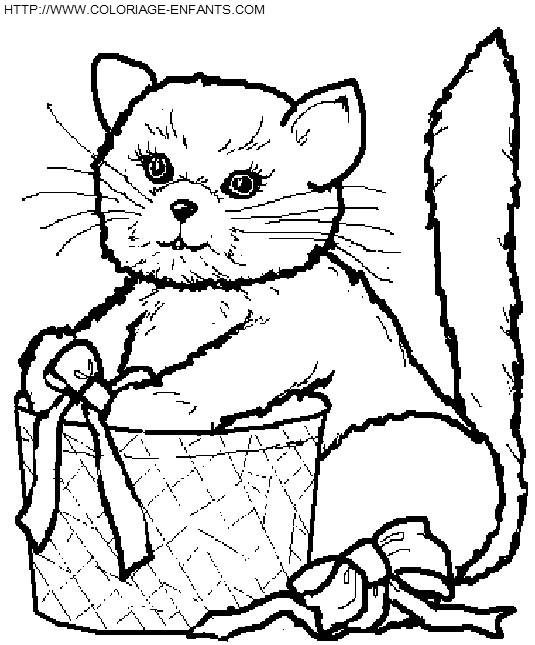 Cats coloring